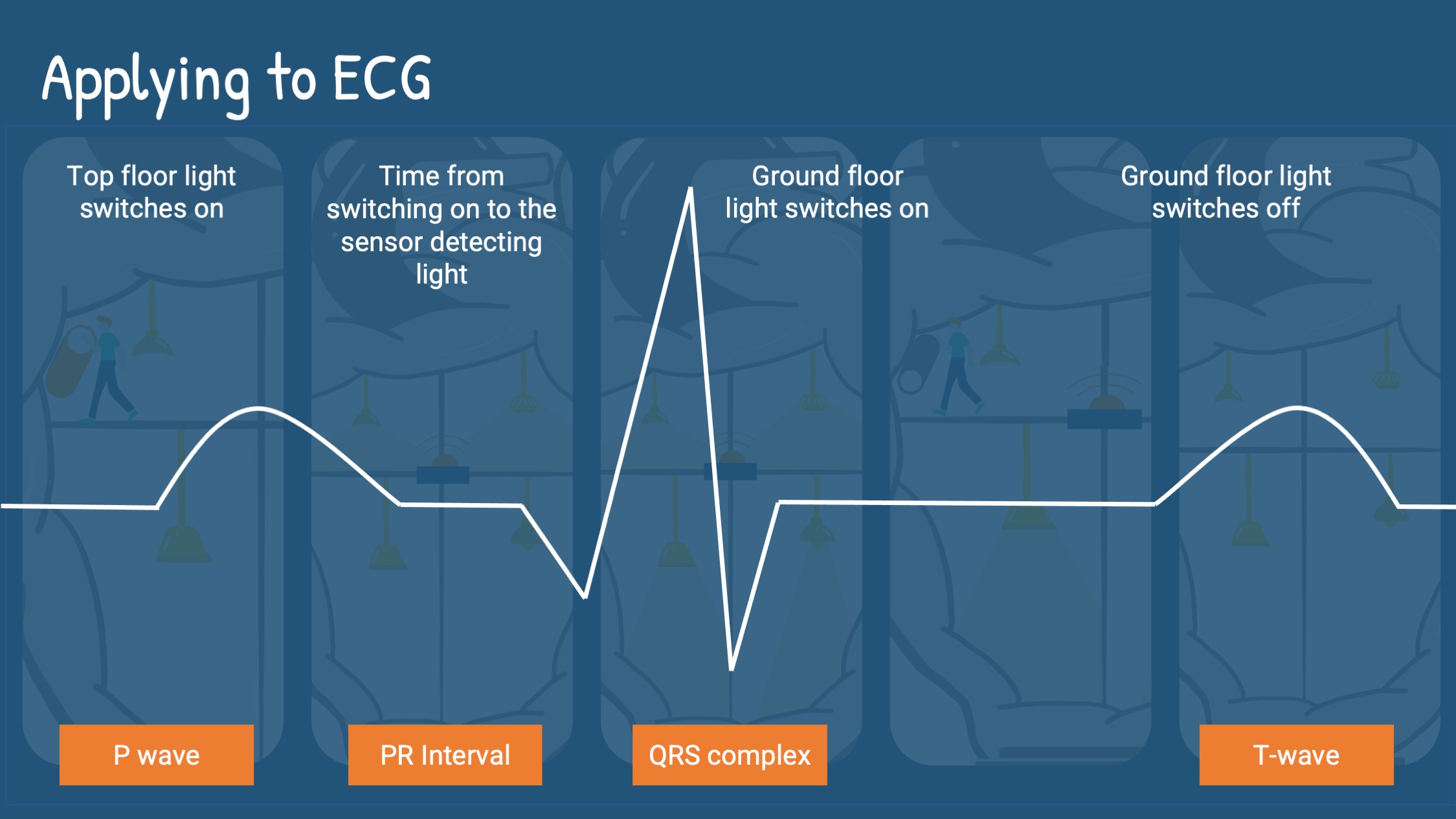 applying to ECG analogy