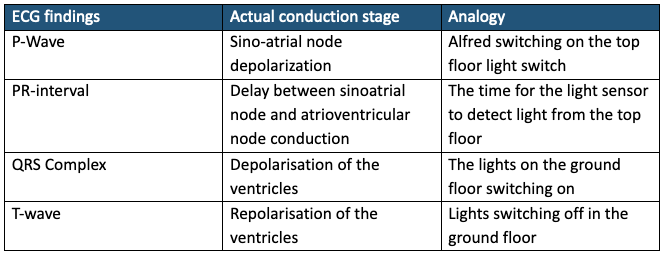 ECG analogy