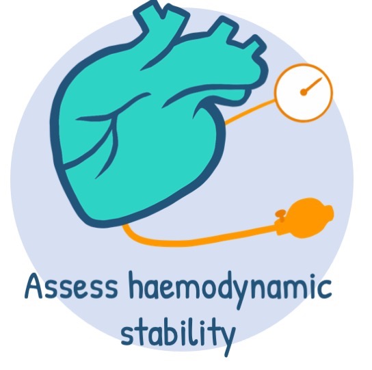 Assess haemodynamic stability